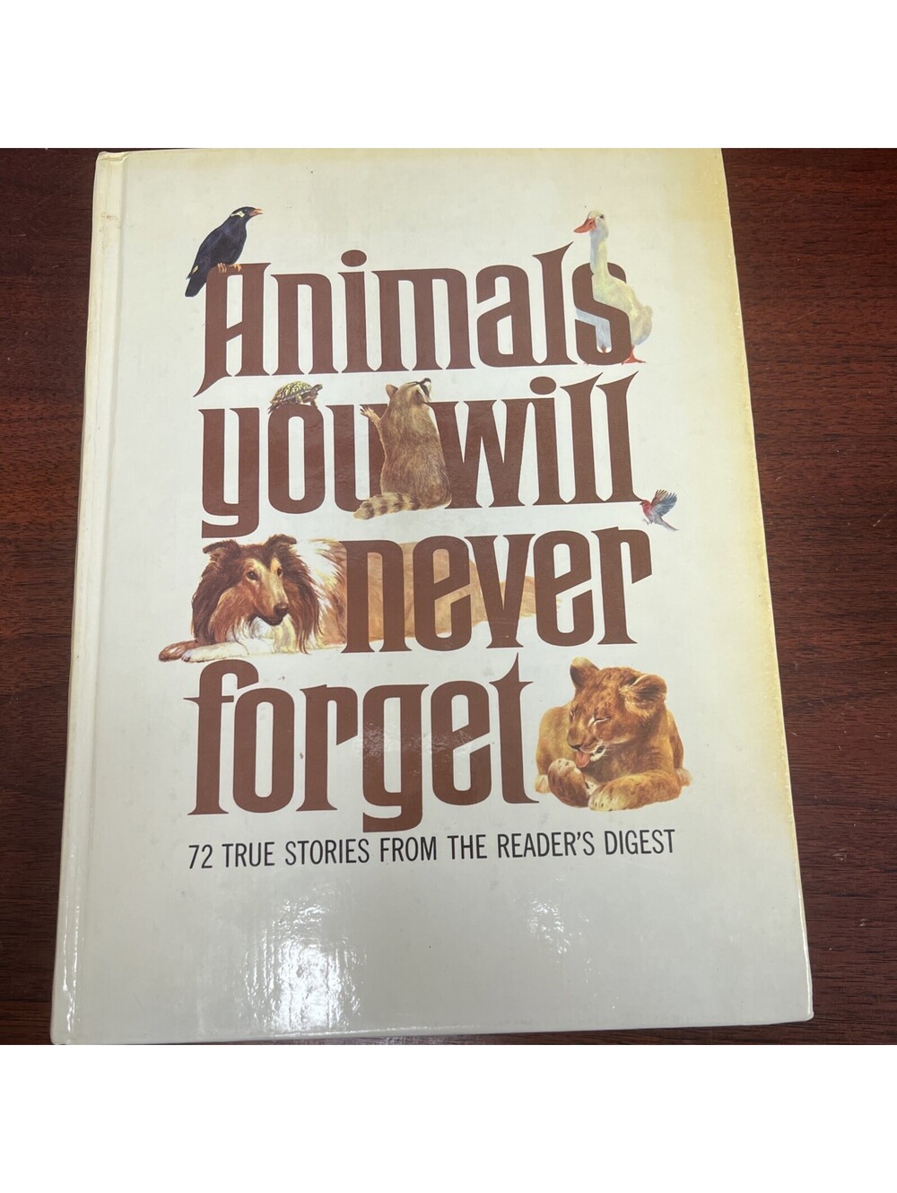 ANIMALS  YOU WILL NEVER FORGET 72 True Stories from the Reader's Digest HC 1978